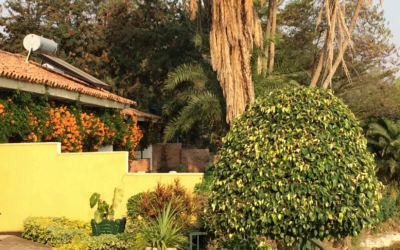 Rwanda: Solar projects for water heating and irrigation